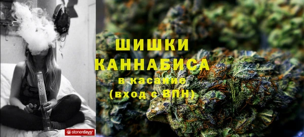 тгк Абаза