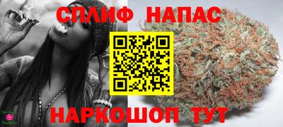 spice Гусиноозёрск