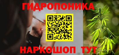 spice Гусиноозёрск