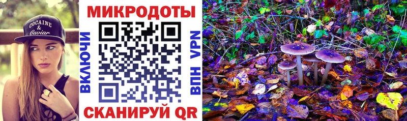 Псилоцибиновые грибы прущие грибы  как найти   Советский 
