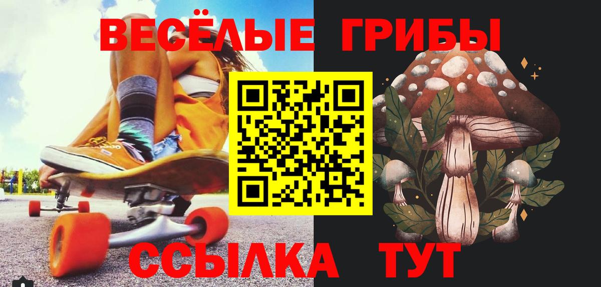 Псилоцибиновые грибы прущие грибы  Вход с VPN  Советский 